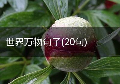 世界万物句子(20句)