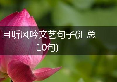 且听风吟文艺句子(汇总10句)