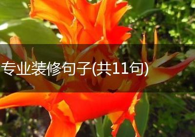 专业装修句子(共11句)