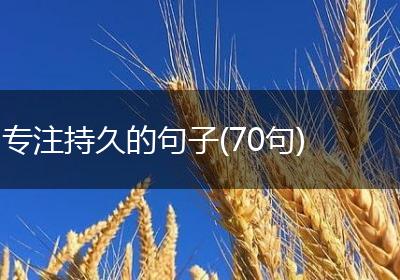 专注持久的句子(70句)