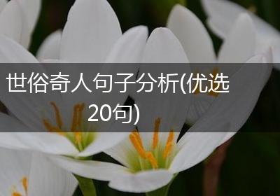 世俗奇人句子分析(优选20句)