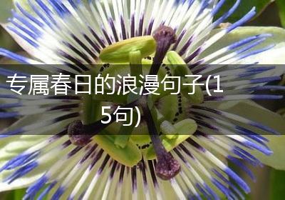 专属春日的浪漫句子(15句)