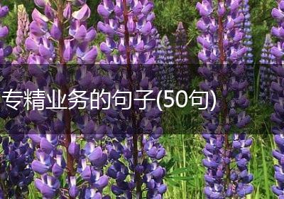 专精业务的句子(50句)