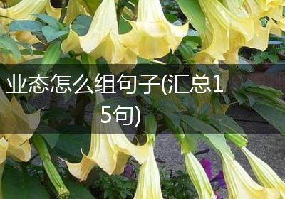 业态怎么组句子(汇总15句)