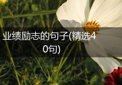 业绩励志的句子(精选40句)