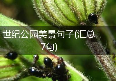 世纪公园美景句子(汇总7句)