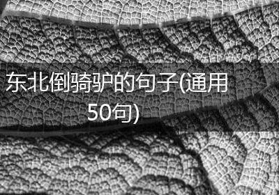 东北倒骑驴的句子(通用50句)