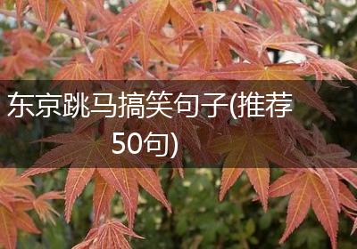 东京跳马搞笑句子(推荐50句)