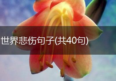 世界悲伤句子(共40句)
