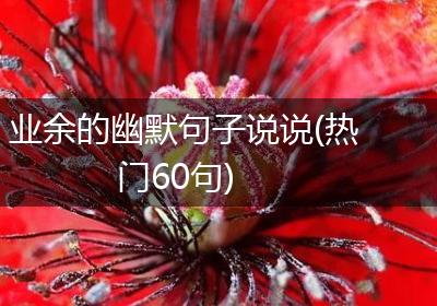 业余的幽默句子说说(热门60句)