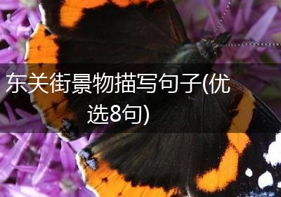 东关街景物描写句子(优选8句)