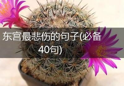 东宫最悲伤的句子(必备40句)