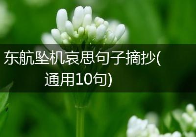 东航坠机哀思句子摘抄(通用10句)