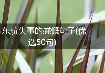 东航失事的感慨句子(优选50句)