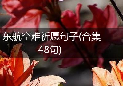 东航空难祈愿句子(合集48句)