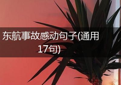 东航事故感动句子(通用17句)