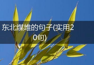 东北煤堆的句子(实用20句)