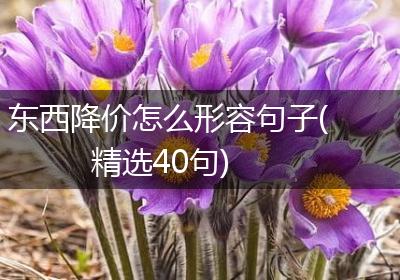 东西降价怎么形容句子(精选40句)
