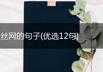 丝网的句子(优选12句)