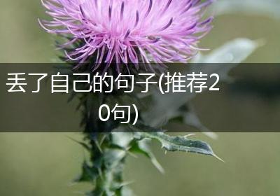 丢了自己的句子(推荐20句)