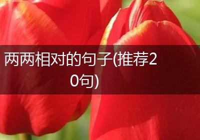 两两相对的句子(推荐20句)