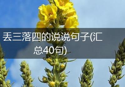 丢三落四的说说句子(汇总40句)