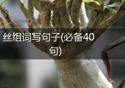 丝组词写句子(必备40句)