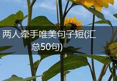 两人牵手唯美句子短(汇总50句)