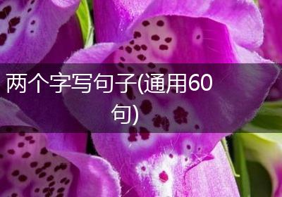 两个字写句子(通用60句)