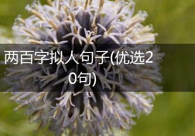 两百字拟人句子(优选20句)