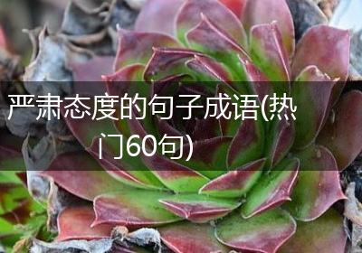 严肃态度的句子成语(热门60句)