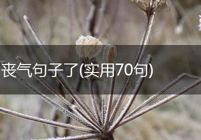丧气句子了(实用70句)