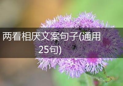 两看相厌文案句子(通用25句)