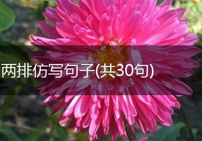 两排仿写句子(共30句)