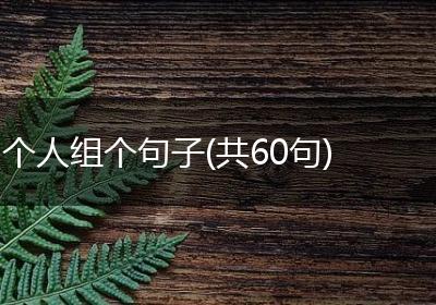 个人组个句子(共60句)