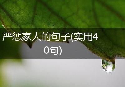 严惩家人的句子(实用40句)
