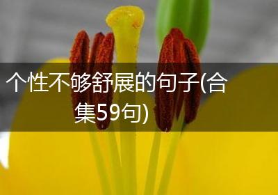 个性不够舒展的句子(合集59句)