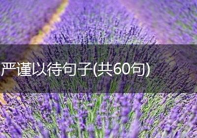 严谨以待句子(共60句)