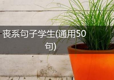 丧系句子学生(通用50句)