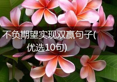 不负期望实现双赢句子(优选10句)