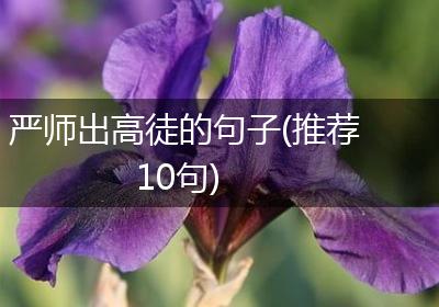 严师出高徒的句子(推荐10句)