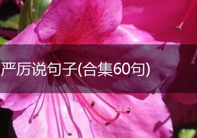 严厉说句子(合集60句)
