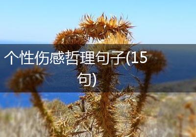 个性伤感哲理句子(15句)