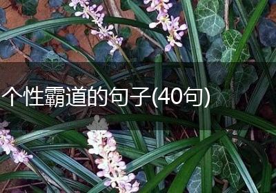 个性霸道的句子(40句)