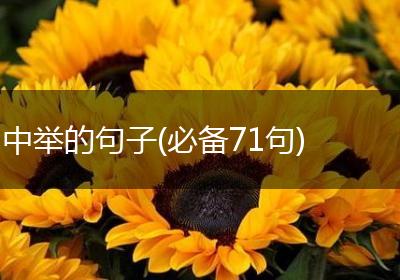 中举的句子(必备71句)