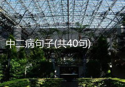 中二病句子(共40句)