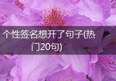 个性签名想开了句子(热门20句)