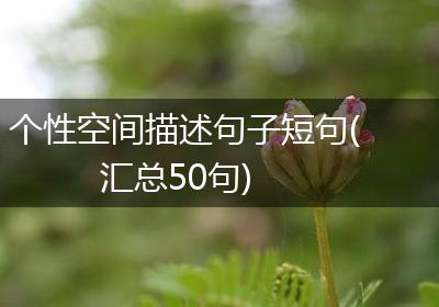 个性空间描述句子短句(汇总50句)