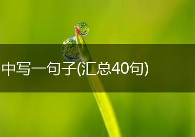 中写一句子(汇总40句)
