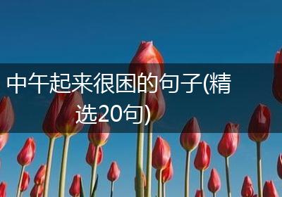 中午起来很困的句子(精选20句)